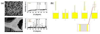 (a) 다공성 Ni 필름의 SEM 이미지와 XRD 패턴, (b) BaTiO3 코팅 공정의 개념도