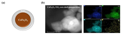 CoFe2O4-TiO2 코어-쉘 나노입자; (a) 개념도 및 (b) TEM/EDS 분석