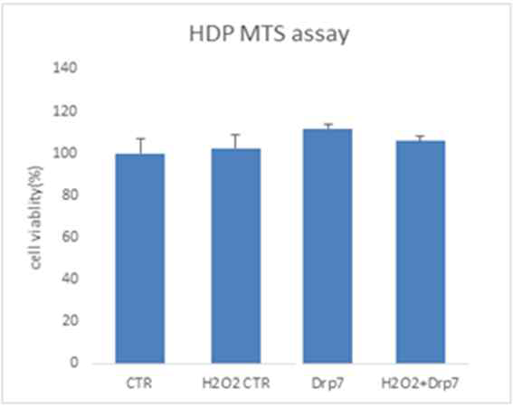 HDP 세포에서, Drp7(DK5303)은 화합물의 세포 독성이 없음을 확인(MTS assay)