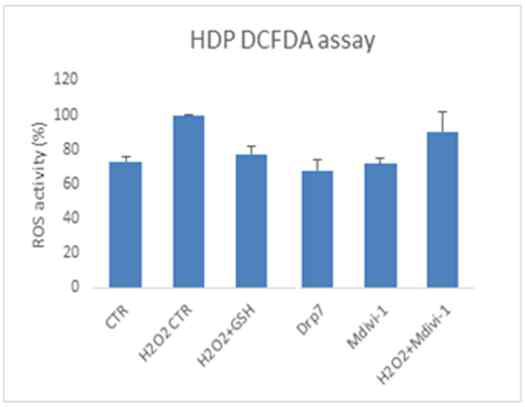 HDP 세포에서, Drp7은 세포 내 ROS 수준을 낮춤-항산화효과 (DCFDA assay)