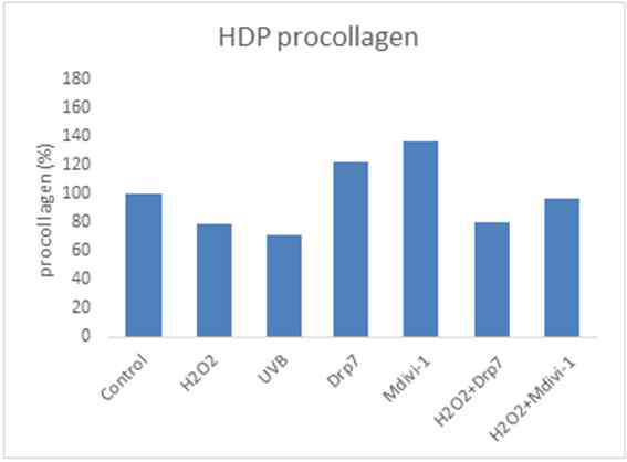 HDP 세포에서, Drp7은 프로콜라겐 1의 합성을 증가시킴