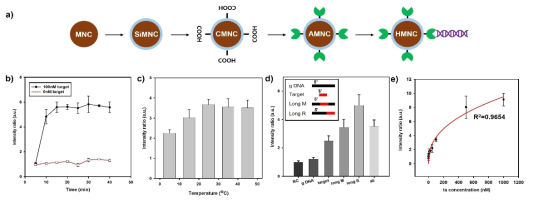 (a) 자성 나노입자를 이용한 HCR 산물 자성분리 및 (b-e) 반응 조건별 형광 분석 결과