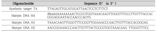 등온 HCR 기술에 사용된 DNA oligonucleotide 염기서열