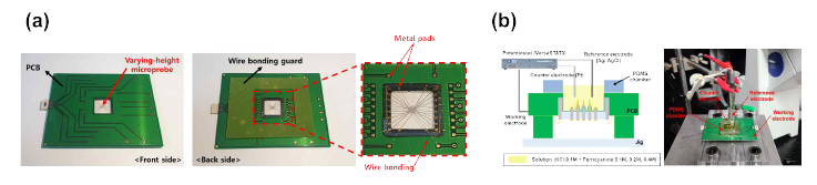 (a) 제안한 개별 어드레싱 구조가 적용된 전극 집적 다단 미세 탐침 어레이와 PCB, wire bonding으로 결합된 구조 (b) 순환전압전류법의 실험 셋업