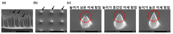 (a) 제작된 높이가 서로 다른 미세 탐침의 단면 전자 현미경 사진, (b) tilt=30°, (c) 서로 다른 높이를 갖는 미세 탐침을 확대한 전자 현미경 사진 (tilt=30°)