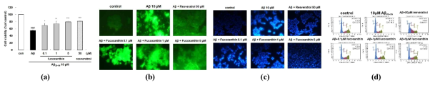 Effects of fucoxanthin of active Sargassum species on (a) cell viability, (b) ROS formation, (c) apoptosis and (d) cell cycle in Aβ25-35-induced PC12 cells