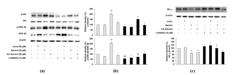 Effects of phlorotannins on PI3K/Akt/GSK-3β mediated Aβ formation