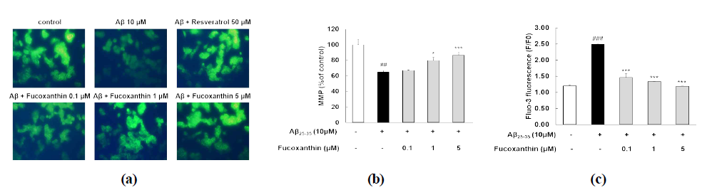 Effects of fucoxanthin on Aβ-stimulated MMP and Ca2+ homeostasis dysfunction