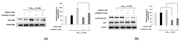 Effects of sargahydroquinoic acid (SHQA) on Nrf2 activation depended on inhibiting Akt signaling