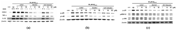 Effects of phlorotannins on Aβ-mediated neuroinflammtory responses