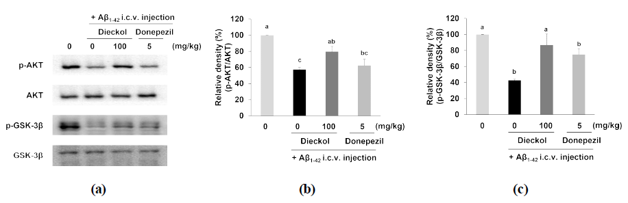 Effects of dieckol on Akt/GSK-3β signaling pathway