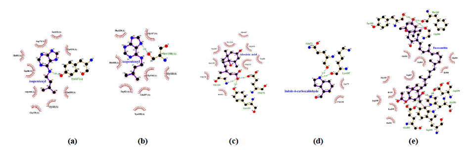 Docking analysis for AChE (a) and BChE (b) with isopentenyladenine, AChE (c) with abscisic acid, BACE1 (d) with indole-4-carboxaldehyde and QC (e) with fucoxanthin