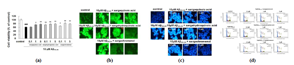 Effects of plastoquinone of active Sargassum species on (a) cell viability, (b) ROS formation, (c) apoptosis and (d) cell cycle in Aβ25-35-induced PC12 cells