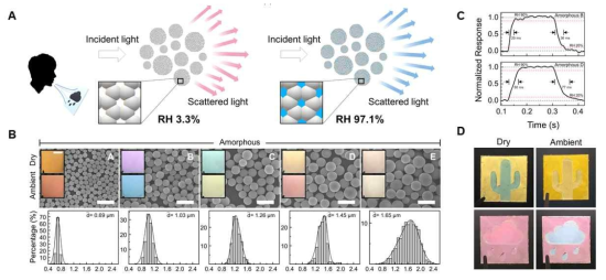 무질서한 다분산성의 amorphous titania 마이크로입자를 이용한 비색계 습도 센서 연구개발 결과. (A) Dry 상태와 Humid 상태의 습도 반응 산란 색의 모식도. (B) Amorphous titania 입자의 SEM 사진 (위)과 dry, humid 상태일 때의 산란 구조색 (삽화), 그리고 크기분포 (아래). (C) 3Hz 주파수에서 RH 20~90%으로 변화할 때의 반응 시간. (D) 제작한 산란형 비색계 습도 반응성 디스플레이와 Dry, Humid 상태일 때의 산란 구조색