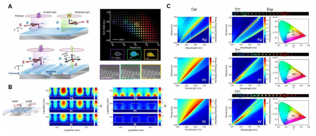 광 손실이 높은 금속 계면을 활용한 고체도 픽셀 개발 결과. (A) 금속평면에서의 반사 (왼쪽 위)와 그레이팅이 있는 금속에서의 반사 (왼쪽 아래). 광학 현미경을 통해 얻은 Pt 기판의 반사형 구조색 (오른쪽 위)과 SEM 사진 (오른쪽 아래). (B) 입사되는 전기장이 s-pol일 때 (중간)와 p-pol일 때 (오른쪽)의 Ag, Pt, W 기반 구조체의 계산된 전기장 분포와 모식도 (왼쪽).(C) 입사되는 편광자와 반사되는 편광자가 수직인 상태에서 계산된 구조체 주기와 파장에 따른 반사 맵 (왼쪽)과 실험으로 측정된 반사 맵과 각각에 해당하는 CIE 그래프 (오른쪽)