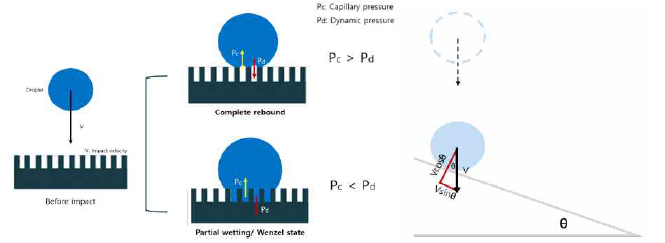 Dynamic behaviors according to the balance of dynamic pressure (Pd) and capillary pressure (Pc)