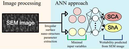 The topology of the simplifed ANN wettability prediction model