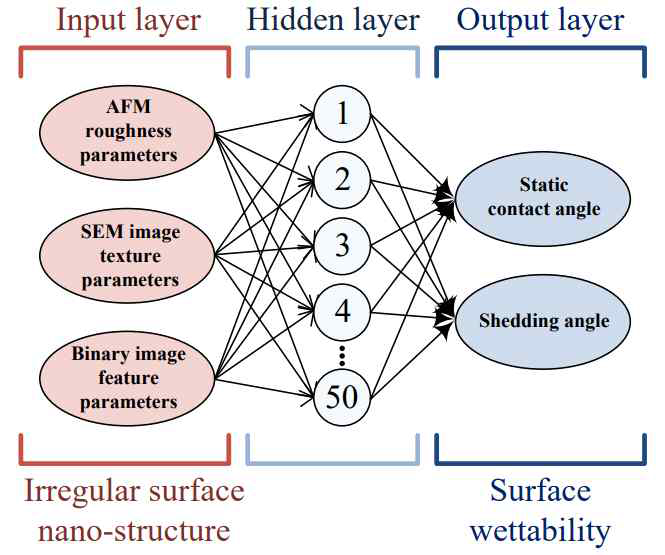 Design of the developed artificial neural network wettability prediction model