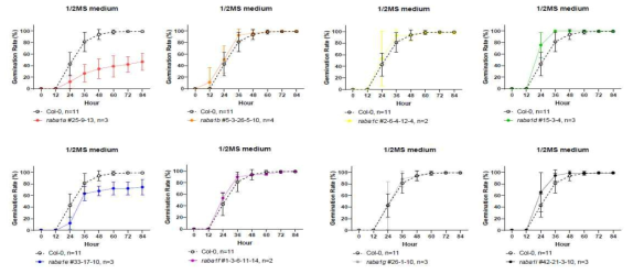 CRISPR/Cas9 유전자가위를 적용한 raba1 subfamily 돌연변이체의 발아율 비교 분석