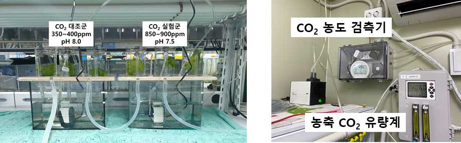 산성화 실험 실내 실험 시스템(좌)과 CO2 농도 검측기 및 농축 CO2 조절 유량계(우)