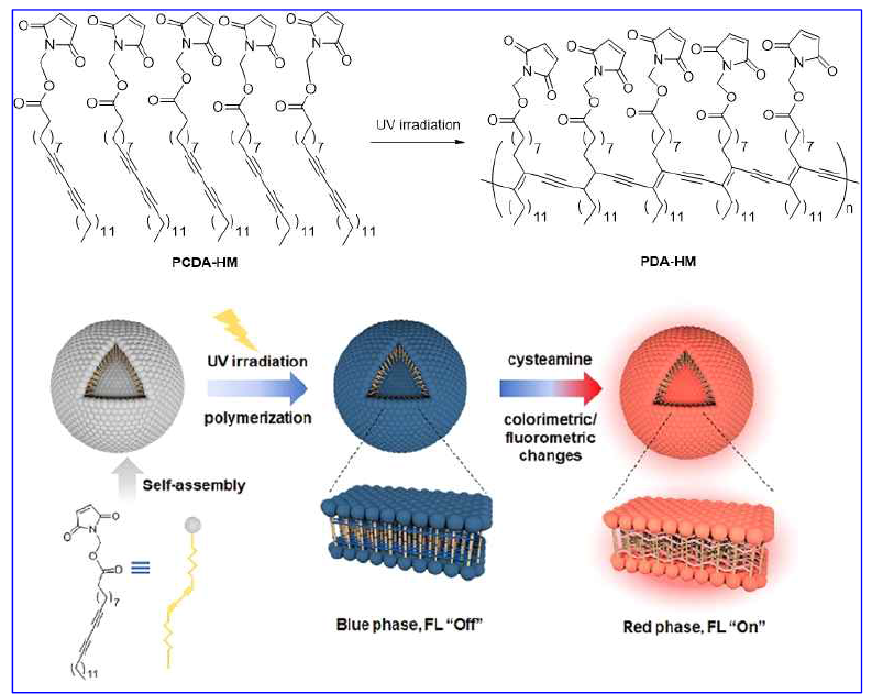 PCDA-HM의 자가 조립과 공액화; PDA 리포좀의 시스테아민 검출의 모식도
