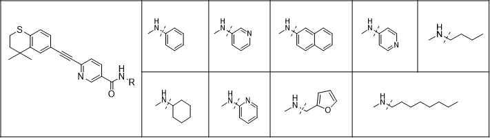 Tazarotene 구조를 기반으로 R기에 다양한 조합으로 새로운 화합물 합성