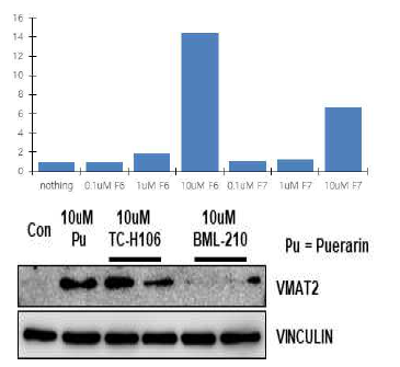 VMAT2 발현 증가 약물에 의한 qPCR (위)과 weatern blot (아래) 결과