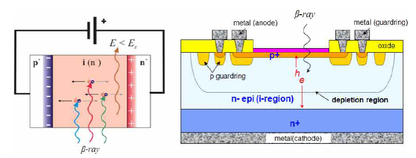 PiN 다이오드를 이용한 방사선 디텍터의 원리 및 구조 모식도