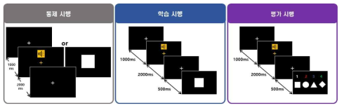 대뇌 신경활동 분석 실험 패러다임 및 자극 제시 순서