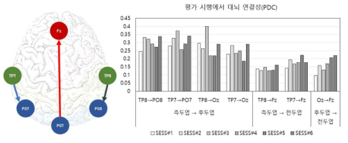 연결성이 증가하는 측두엽-가측 후두엽 영역과 후두엽-전두엽 영역 연결성