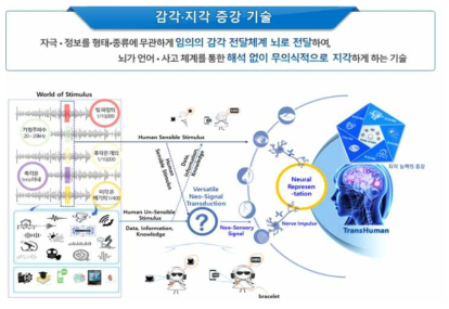 감각지각증강기술 개념도