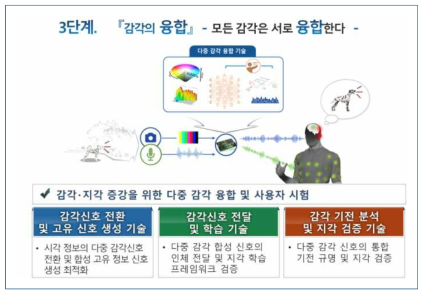 3단계 연구개발 주요 내용