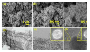 합성된 metal nitride@NCNs의 SEM, TEM 이미지