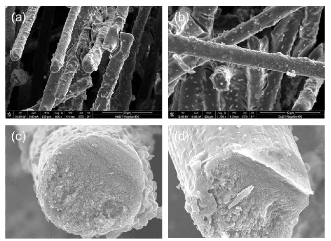 Track 2를 통해 제조된 DATPIM이 코팅된 carbon felt 전극의 SEM 이미지. (a)-(b) before pyrolysis, (c)-(d) after pyrolysis