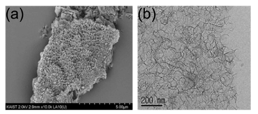 이산화탄소 유도 탄소재료의 SEM 및 TEM 이미지