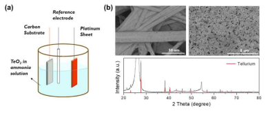 (a) 전기도금을 이용한 텔루륨 나노 입자 도입 모식도 (b) 텔루륨 나노 입자 코팅 carbon paper의 SEM 이미지 및 XRD