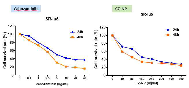 Cabozantinib 나노입자의 proliferation 저해 확인