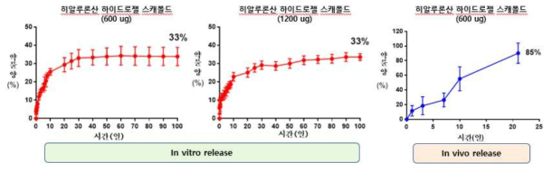 히알루론산 하이드로젤 스캐폴드의 in vitro & in vivo 약물 방출량 결과