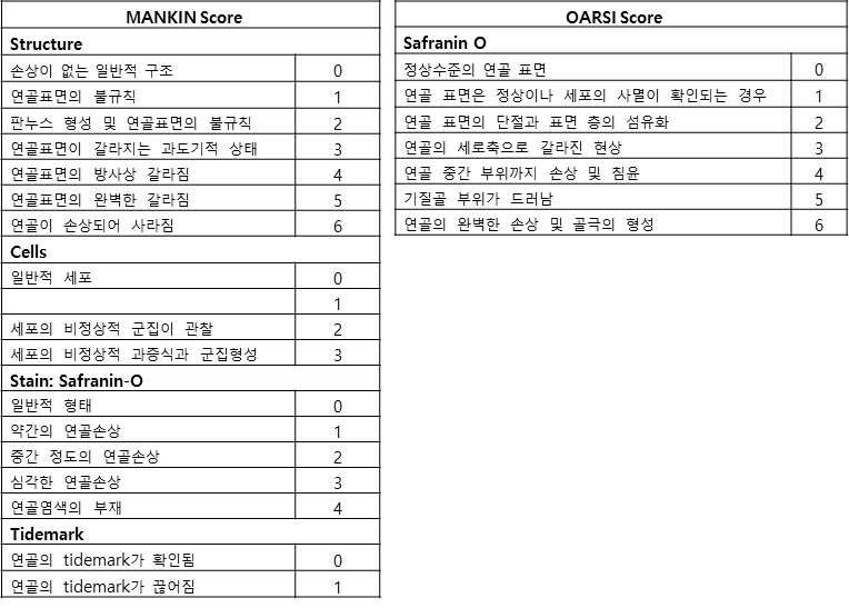 MANKIN, OARSI socre 기준