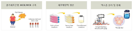 줄기세포 배양액 및 엑소좀 생산 공정 개요