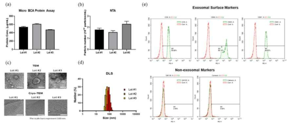 줄기세포 엑소좀 특성평가. 생산된 엑소좀의 (a) 단백질양. (b) 입자 개수. (c) 크기 및 확인 (d) 크기분포. (e) exosomal, non-exosomal surface marker 분석 결과