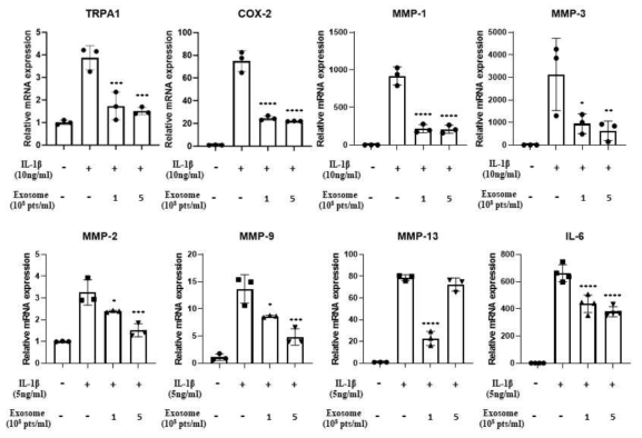 in vitro 통증 모델을 이용한 줄기세포 엑소좀의 통증 및 염증 억제 실험 결과. 유전자 발현 결과. All data are shown as means ± standard deviations. *p < 0.05, **p < 0.01 compared to IL-1β alone