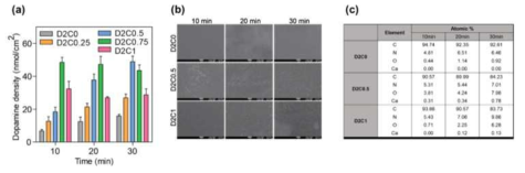 CaO2 매개 도파민 코팅의 고정화 밀도와 표면 형상 및 원소 분석. (a) 첨가되는 CaO2의 농도와 코팅 시간에 따른 고정화 밀도와 이에 따른 표면의 (b) SEM 이미지 및 (c) 원소 분석 비율