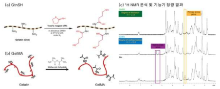 젤라틴 기반 기능성 고분자의 (a와 b) 합성 모식도 및 (c) 고분자의 화학적 구조 및 기능기 정량 분석 결과
