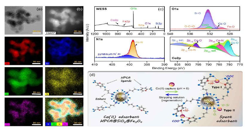 Characterization of spent adsorbent Co(II)-HPCA@SiO2@Fe3O4: (a) TEM image; (b) HAADF image and EDS mapping; (c) XPS spectra; (d) proposed Co(II) adsorption mechanisms on HPCA@SiO2@Fe3O4