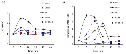 Effect of BO-IR treatment on ATP levels and cAMP accumulation. B16F10 cells were treated with 10 μg/mL BO for 24 h and then irradiated with Blue-IR for 1 h. (a) Intracellular ATP and (b) cAMP levels were measured after incubation for the indicated durations