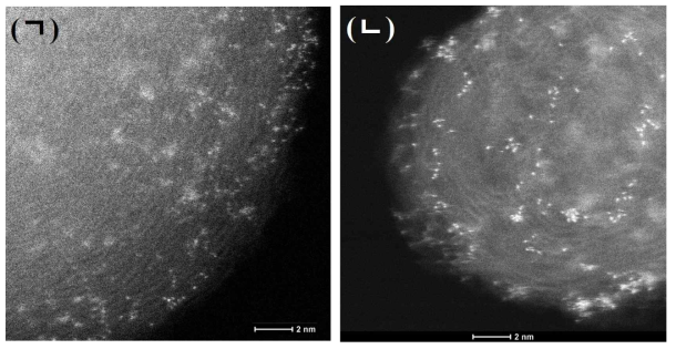 (ㄱ) 실험실 수준과 (ㄴ) 5배 증가된 규모로 합성된 백금 단원자 촉매의 STEM 이미지