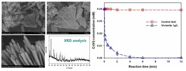 합성 vivianite의 형태학적 분석과 6가 크롬 제거 동역학 실험