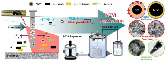 NZVI를 이용한 수내 미량오염물질 제거 후, 표면산화에 의한 여러 passivation byproducts