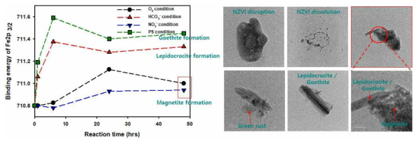 XPS를 이용한 산화 부산물 형성 속도 분석 및 TEM 분석 결과